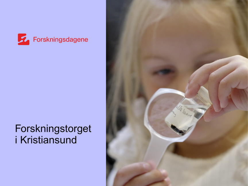 Forskningstorget 2026
